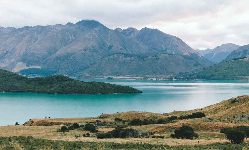 Kurum Kültürünün Sessiz Zehri: “Zehirli Sarmaşıklar” cover img